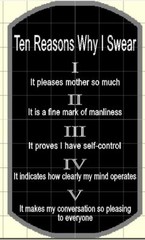 THE TEN REASONS I SWEAR STAINLESS STEEL DOG TAG