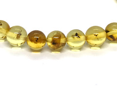 Amber Bracelet INSECT in EVERY BEAD Gift Baltic Round Beads Insects 5,1g 17464