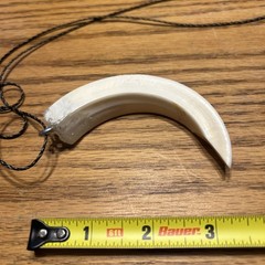 Arkansas Wild Razorback Tooth Pendant Necklace ( #4)