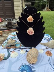 Women’s 24″ Seashell Necklace Pendant Natural Scallop Shell with nylon cord