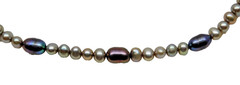 Vintage Freshwater & Cultured Pearl Necklace 16″ Length with Fish Hook Clasp