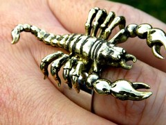 Brass Scorpion ring band solid 925 sterling silver size 7 8 9 10 11 12