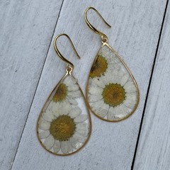 Min Favorit Pressed Daisy Flower In Epoxy Pendant & Gold Artisan Drop Earrings