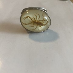 Vintage Handmade Scorpion Ring – real Scorpion!