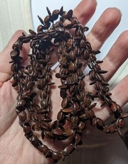 Nature Inspired Brown Koa Apple Seed Handmade Beaded Necklace