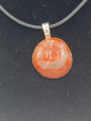 Fossilized Red Coral Pendant