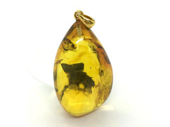 Baltic Amber Pendant 3 Insects Fossil Insect Inclusion Silver 925 Gold 9,1g 6530