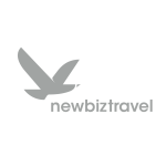 NEWBIZ logo gris
