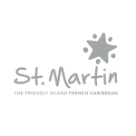 StMartin-logo-gris