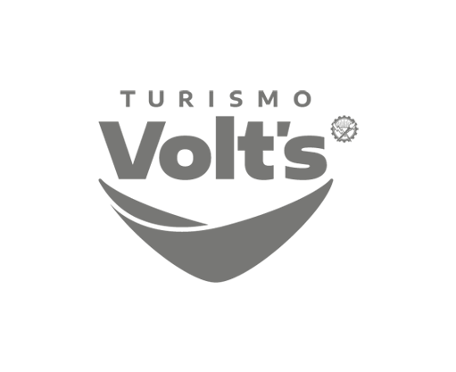 BINAH_LOGOS WEB-55_volts mas chico